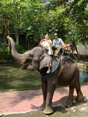 Elephant Activities in Bali